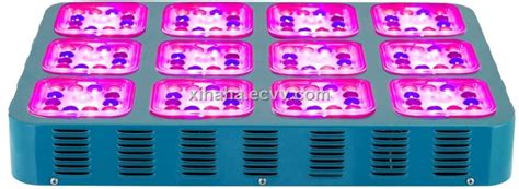 china grow led cree manufacturers